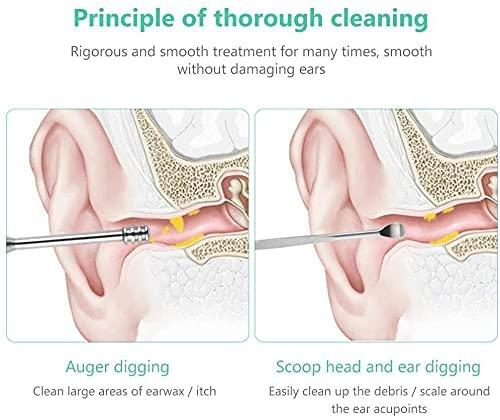 Professional 6-Piece Stainless Steel Ear Wax Removal Kit with Storage Case